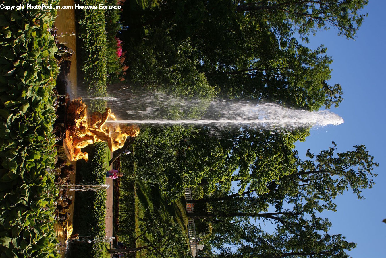 Fountain, Water, Art, Sculpture, Statue, Produce, Vegetable
