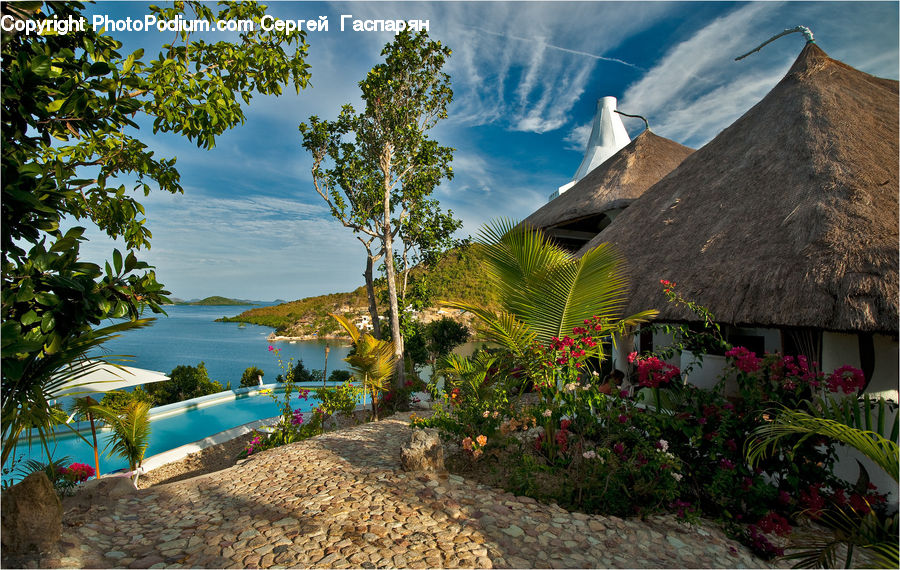 Building, Cottage, Housing, Plant, Potted Plant, Beach, Coast