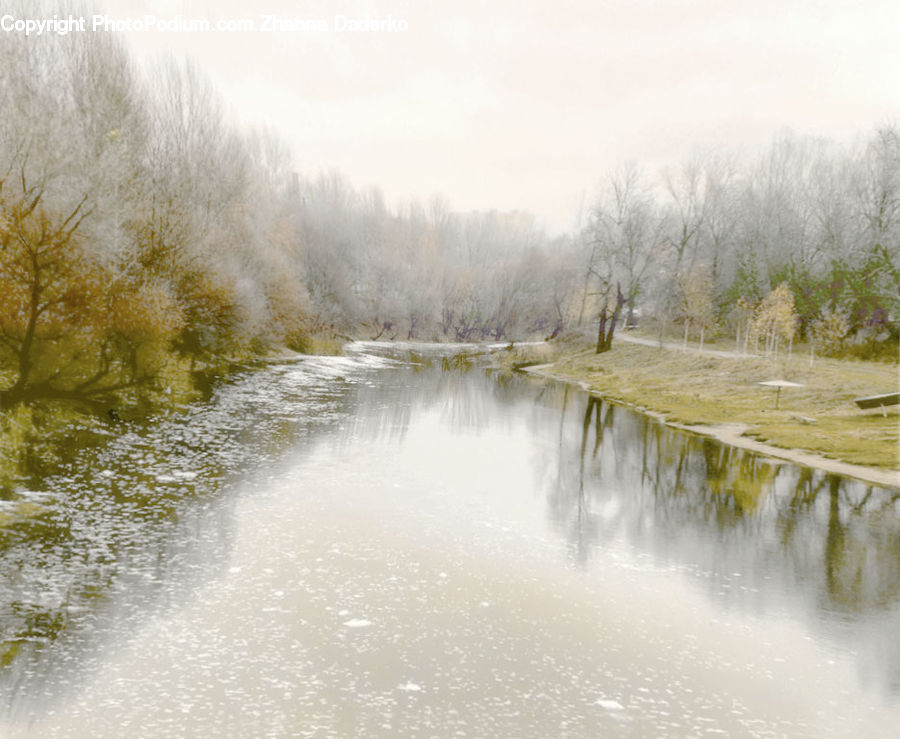 Outdoors, River, Water, Land, Marsh, Pond, Swamp