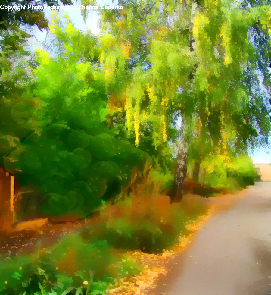 Dirt Road, Gravel, Road, Art, Painting, Forest, Vegetation