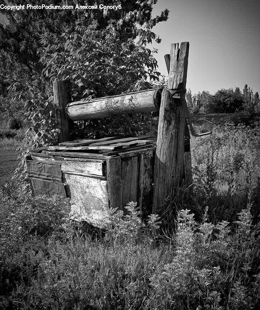 Tomb, Tombstone, Bench, Rock, Forest, Grove, Land
