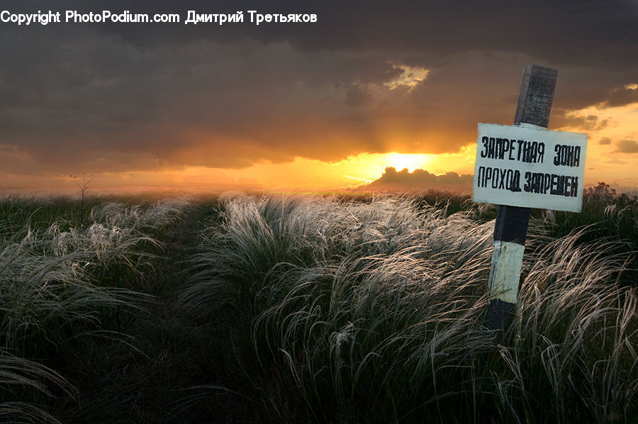 Field, Grass, Grassland, Plant, Sign, Outdoors, Land