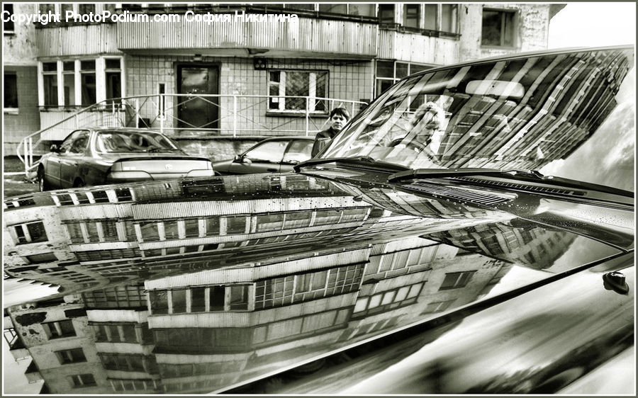 Automobile, Car, Sedan, Vehicle, Parking, Parking Lot, City
