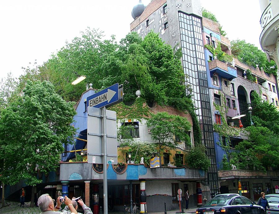 Plant, Potted Plant, Alley, Alleyway, Road, Street, Town