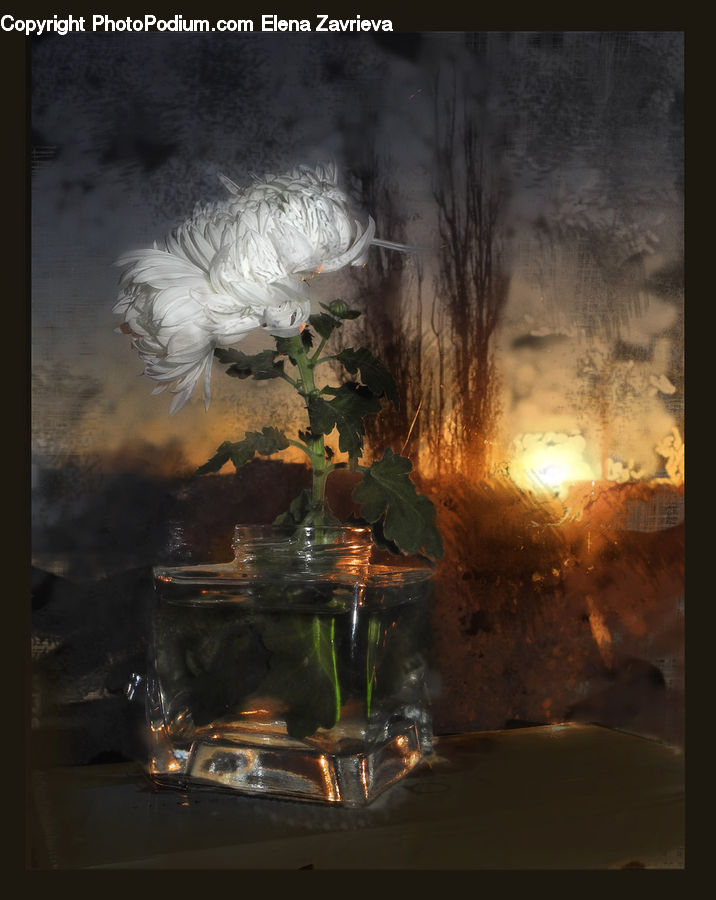 Plant, Potted Plant, Glass, Goblet, Light, Art, Modern Art
