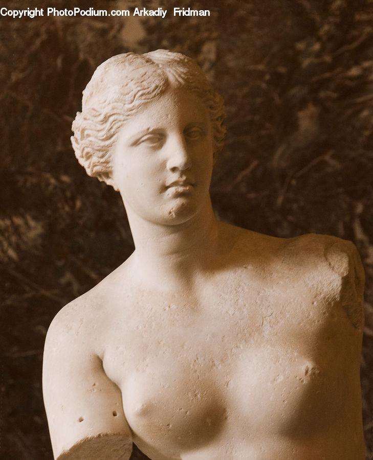 Bust, Figurine, Head