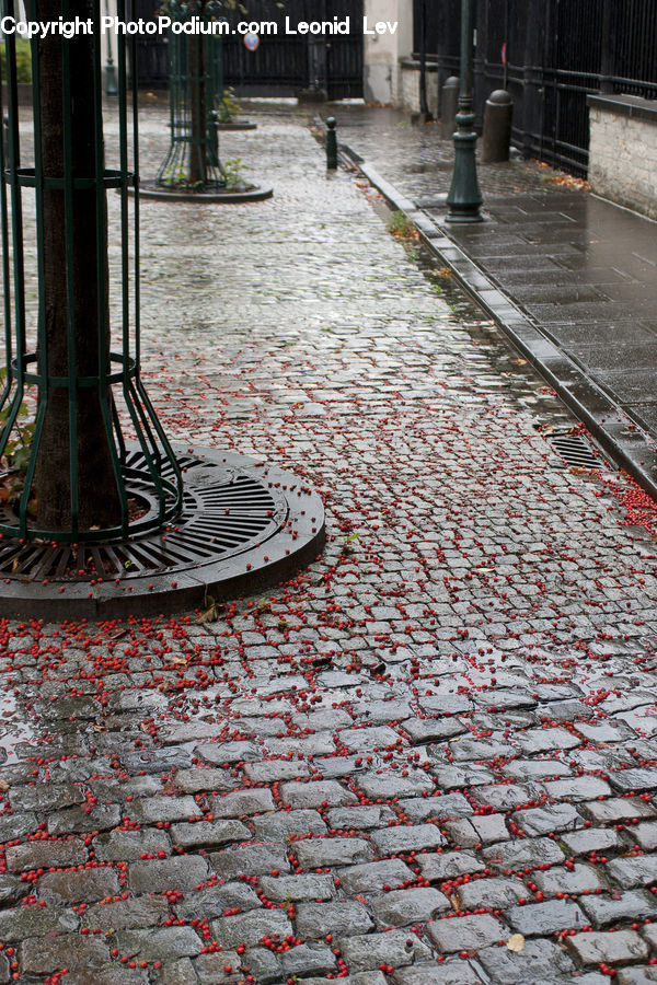 Cobblestone, Pavement, Walkway, Alley, Alleyway, Road, Street