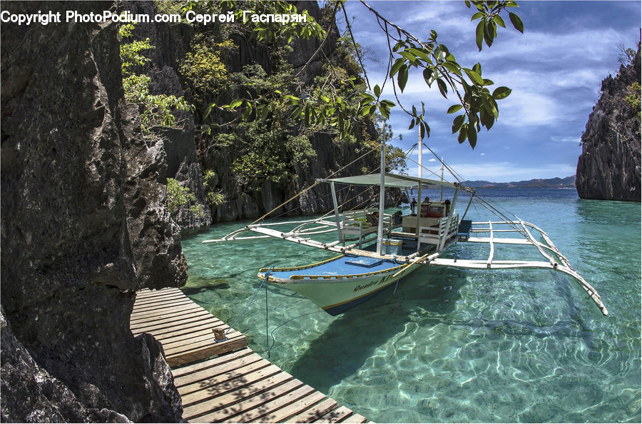 Boat, Watercraft, Dinghy, Forest, Jungle, Rainforest, Vegetation