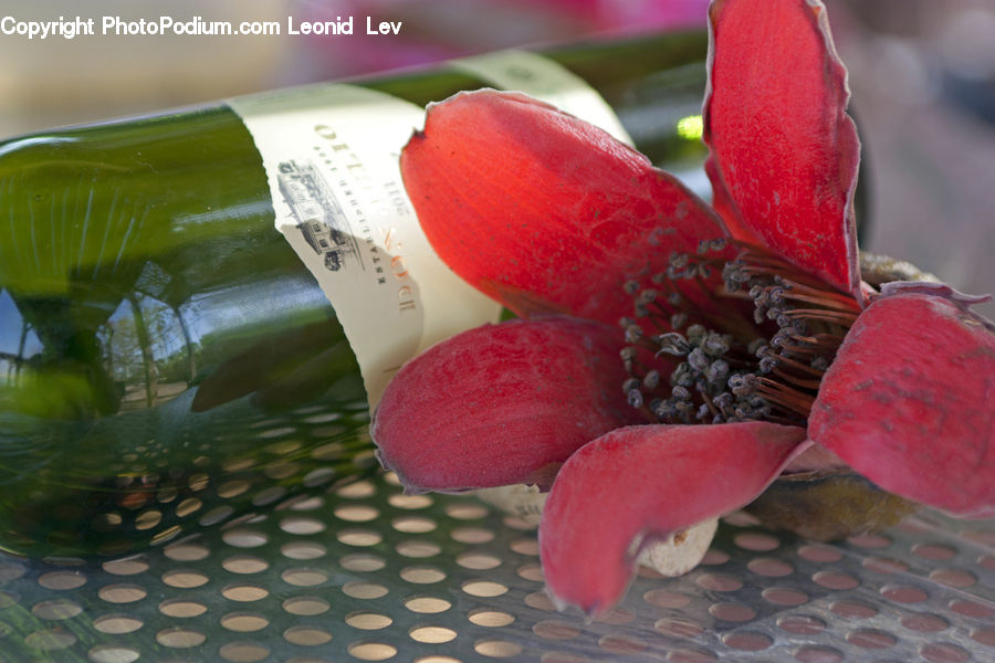 Fruit, Raspberry, Beverage, Drink, Flower, Lily, Plant