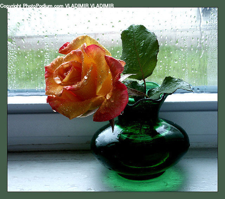 Leaf, Plant, Flower Arrangement, Ikebana, Potted Plant, Vase, Bird