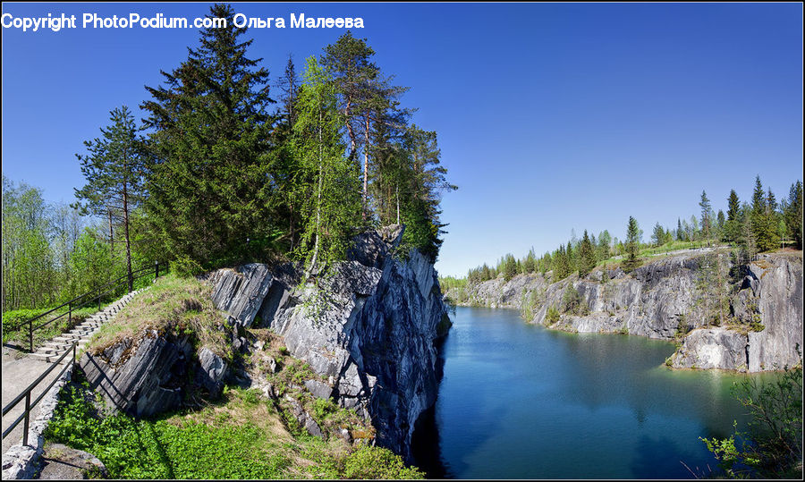 Conifer, Fir, Plant, Tree, Tree Stump, Outdoors, Basin