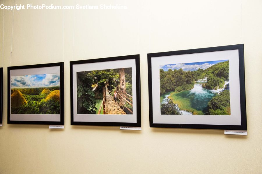 Art, Art Gallery, Outdoors, River, Water, Forest, Jungle