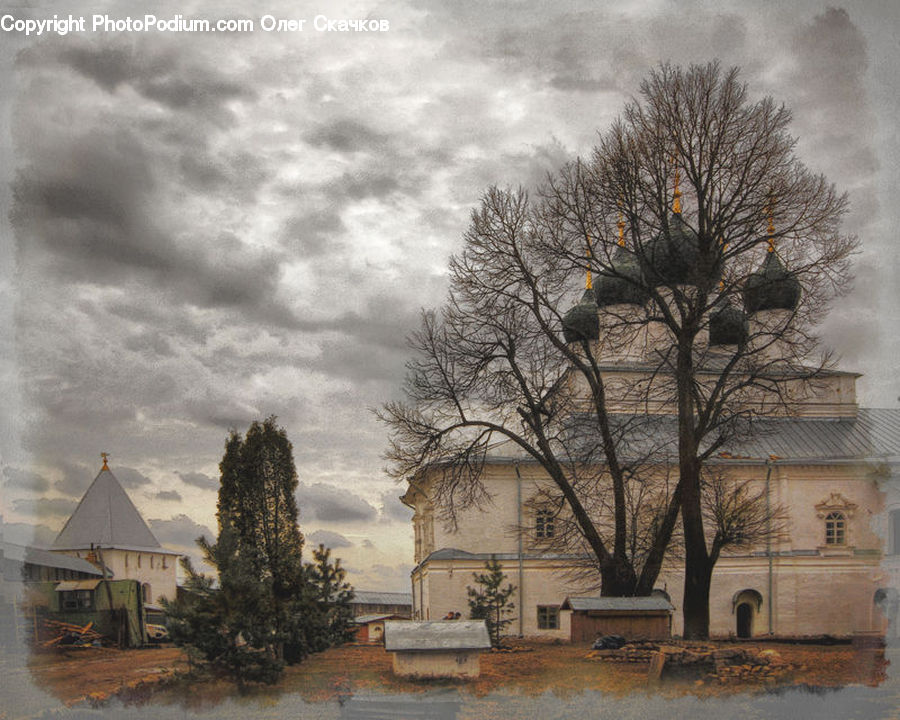 Architecture, Church, Worship, Plant, Tree, Housing, Monastery