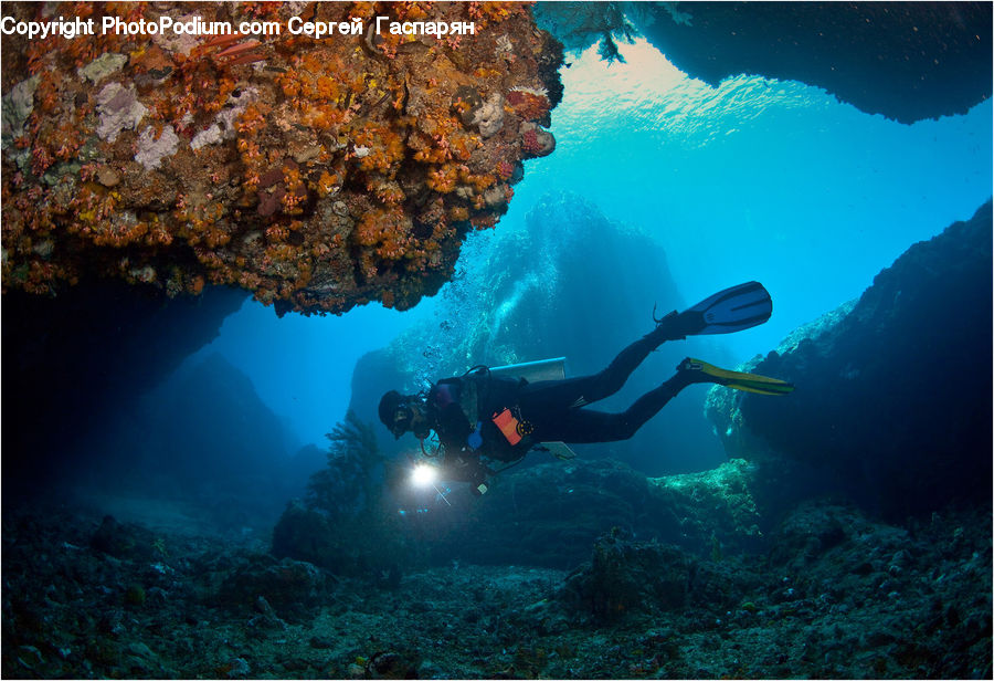Diver, Diving, Sport, Water, Person