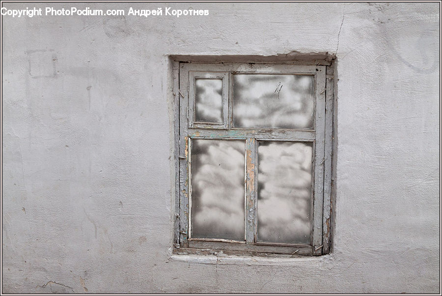 Window, Brick, Fence, Wall, Blossom, Flora, Flower