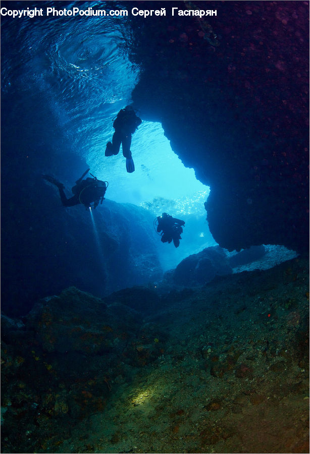 Diver, Diving, Sport, Water, Person, Coral Reef, Outdoors