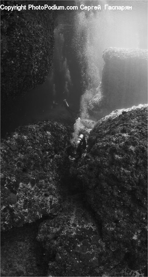 Outdoors, Sea, Sea Waves, Water, Forest, Jungle, Rainforest