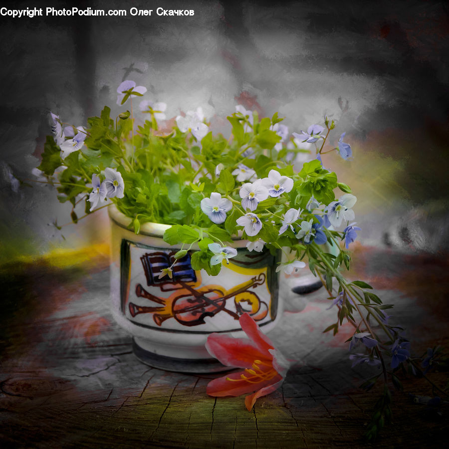 Plant, Potted Plant, Pot, Pottery, Blossom, Flora, Flower