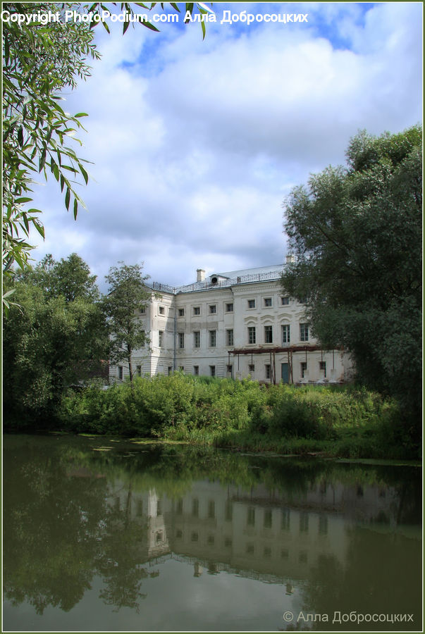 Castle, Ditch, Fort, Moat, Plant, Outdoors, Pond