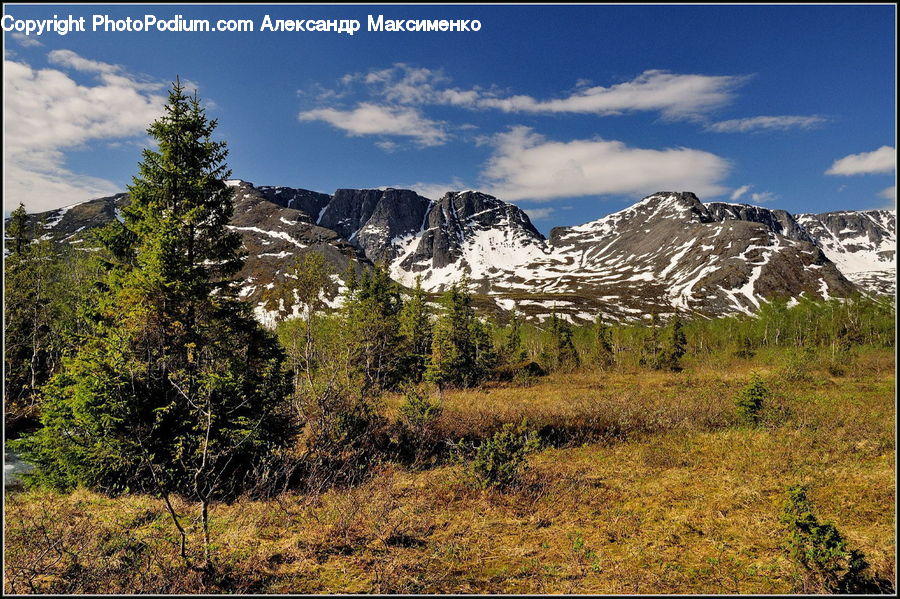 Crest, Mountain, Outdoors, Peak, Field, Grass, Grassland