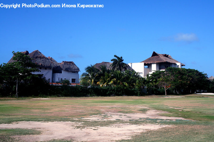 Building, Housing, Villa, Plant, Potted Plant, Tree, Bench