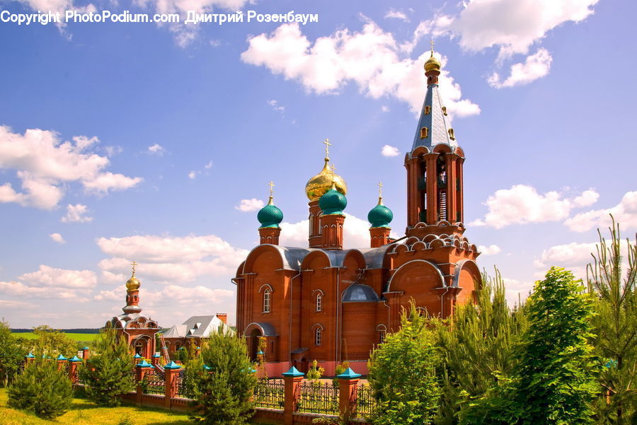 Plant, Potted Plant, Architecture, Church, Worship, Bell Tower, Clock Tower