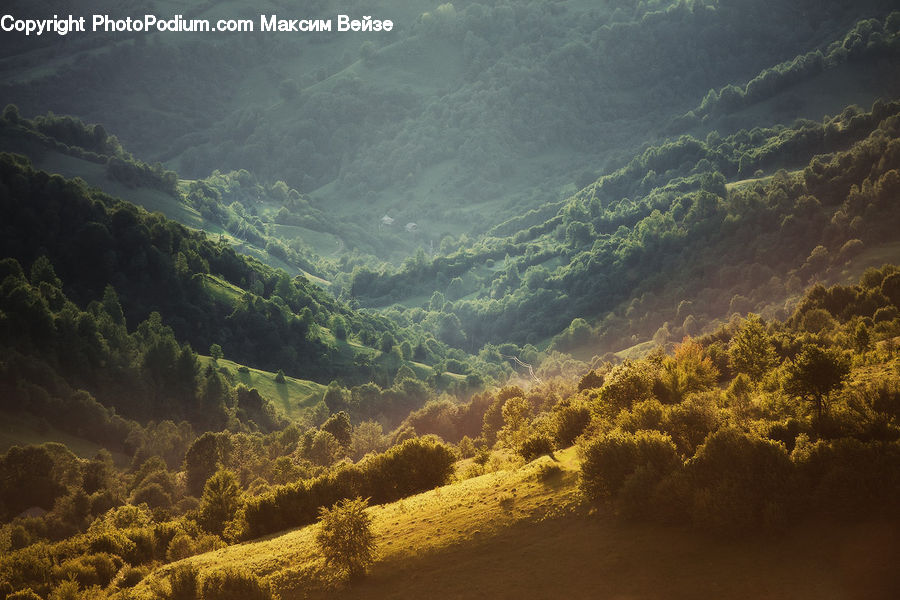 Field, Grass, Grassland, Land, Outdoors, Mountain, Mountain Range