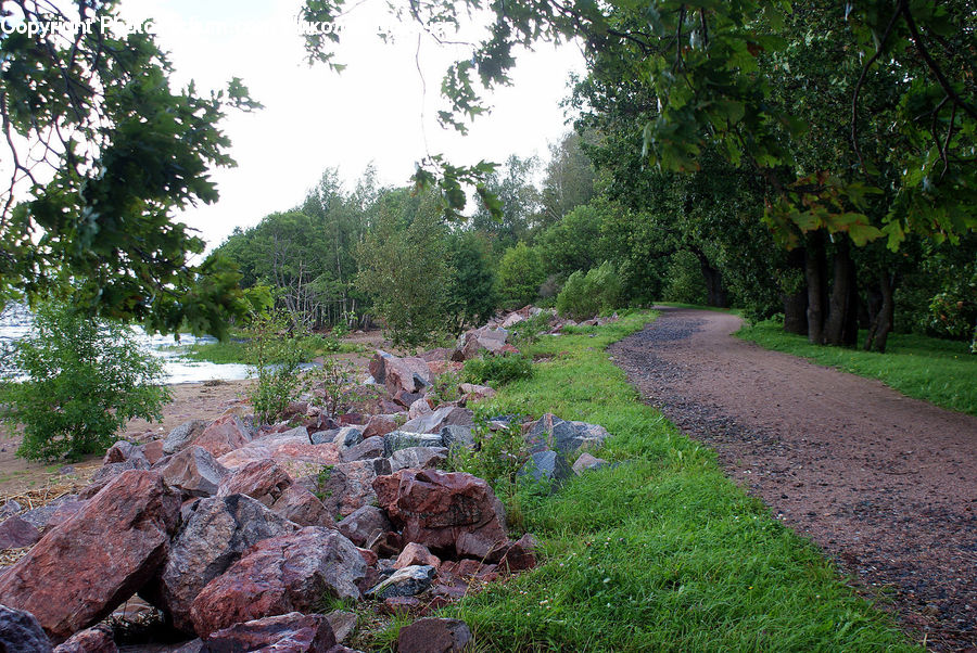 Creek, Outdoors, River, Water, Dirt Road, Gravel, Road