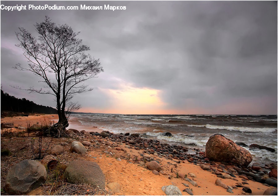 Rock, Ground, Soil, Beach, Coast, Outdoors, Sea