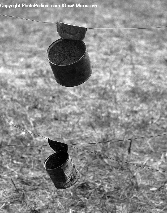 Bottle