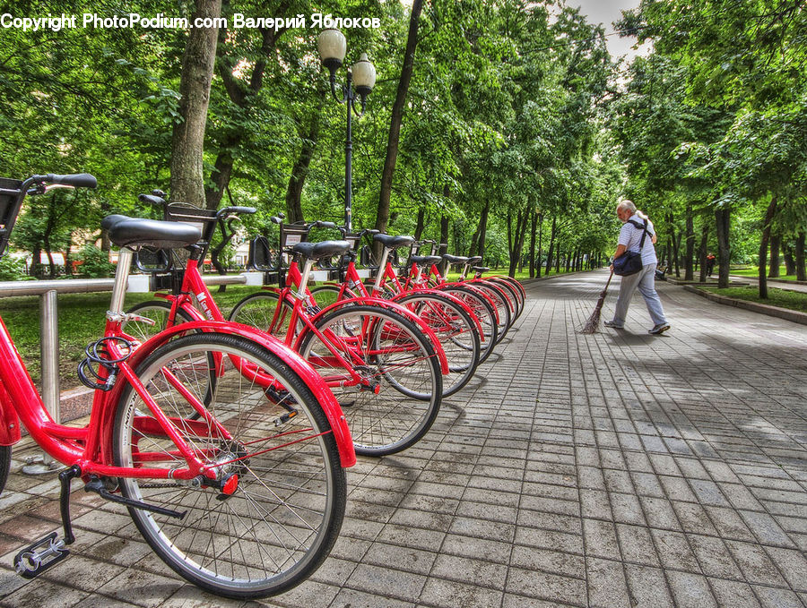 Human, People, Person, Bicycle, Bike, Vehicle, Leisure Activities