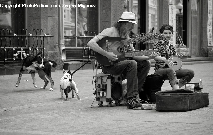 People, Person, Human, Guitar, Guitarist, Musical Instrument, Musician