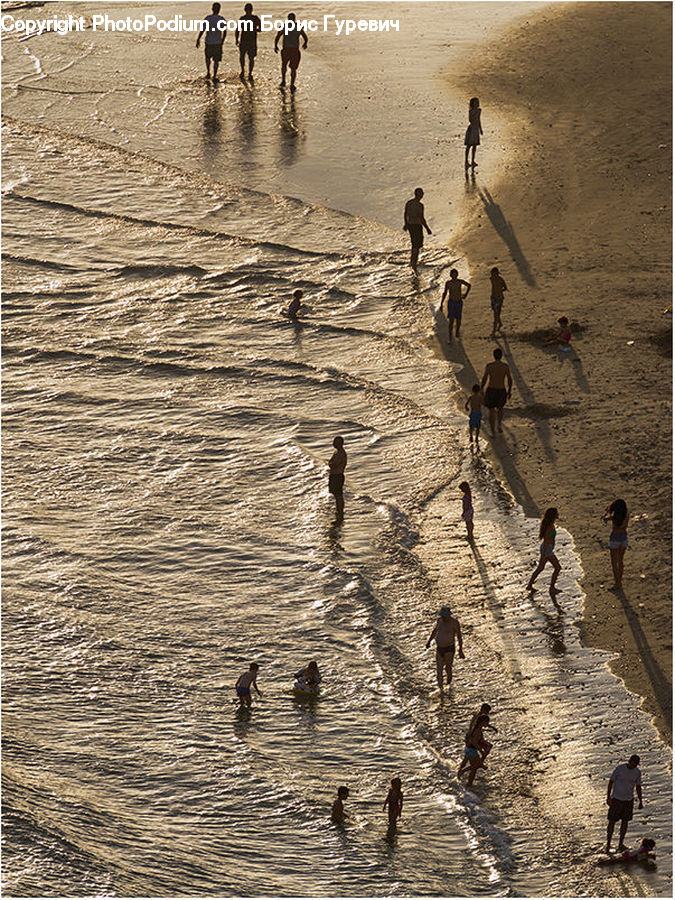 Outdoors, Ripple, Water, Bird, Crane Bird, Heron, Sand