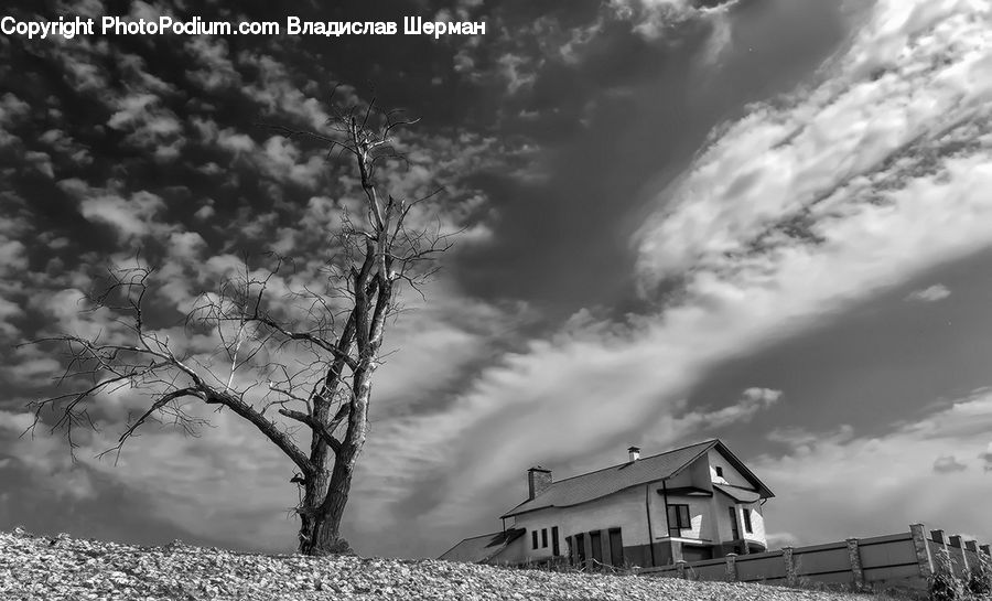 Building, Cottage, Housing, Cabin, Hut, Rural, Shack