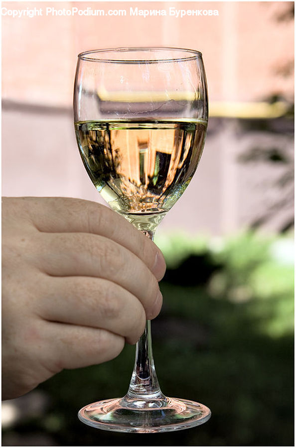 Glass, Goblet