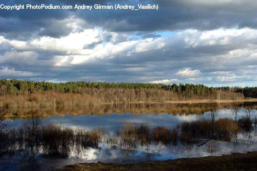 Land, Marsh, Pond, Swamp, Water, Field, Grass
