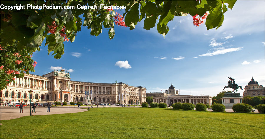 Architecture, Downtown, Plaza, Town Square, Maple, Maple Leaf, Plant