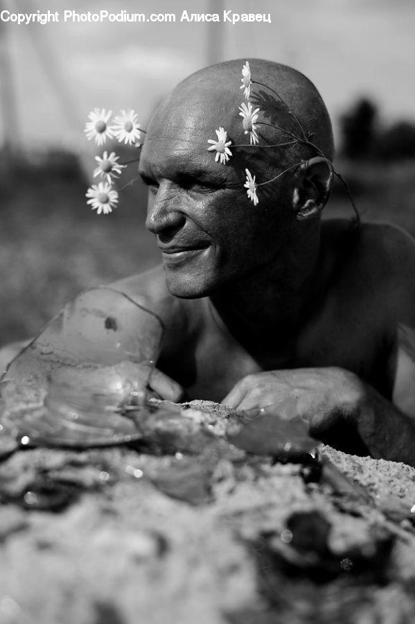 People, Person, Human, Daisies, Daisy, Flower, Plant