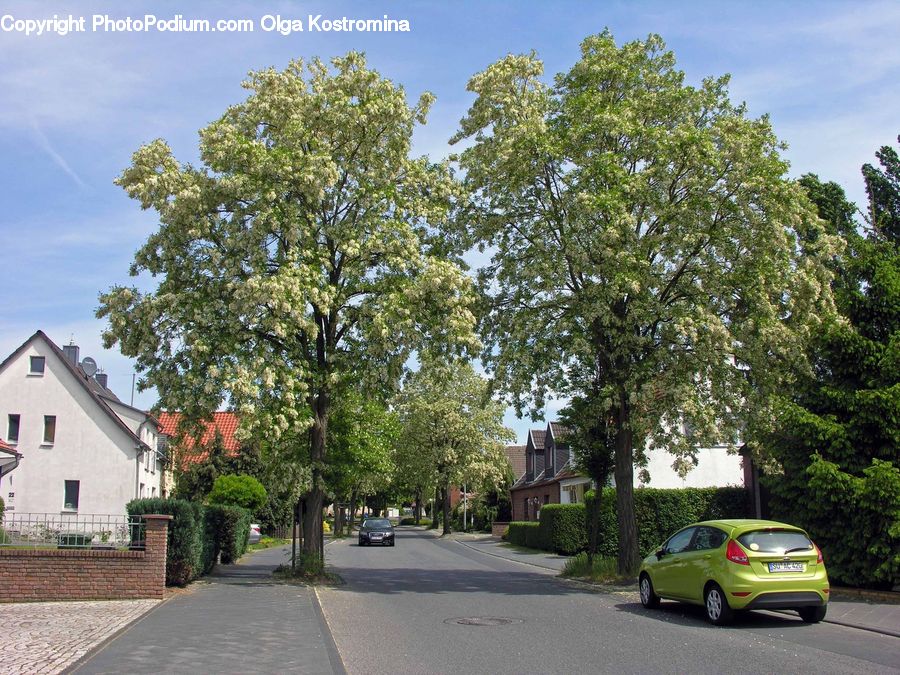 Automobile, Car, Sedan, Vehicle, Intersection, Road, Asphalt