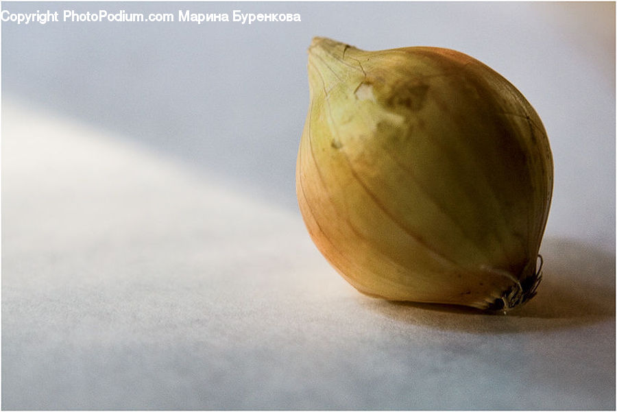 Garlic, Plant, Onion, Produce, Shallot, Vegetable