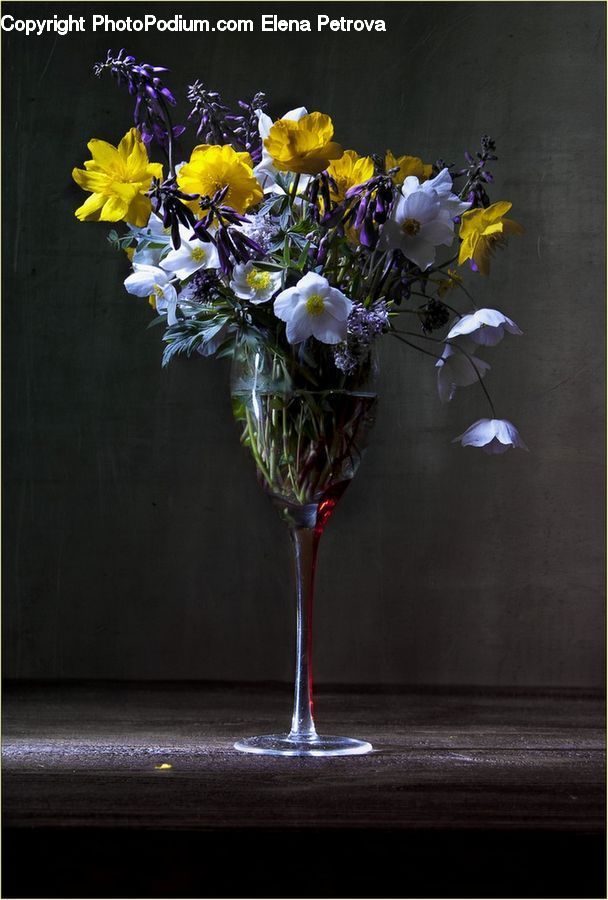 Plant, Potted Plant, Floral Design, Flower, Flower Arrangement, Flower Bouquet, Ikebana