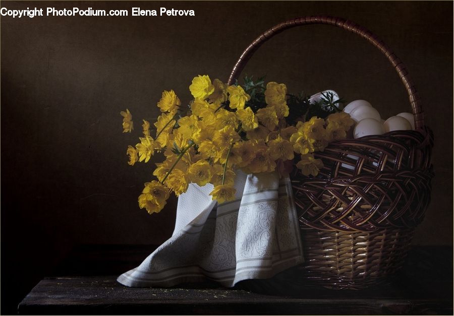 Plant, Potted Plant, Jar, Porcelain, Vase, Basket, Flower Arrangement
