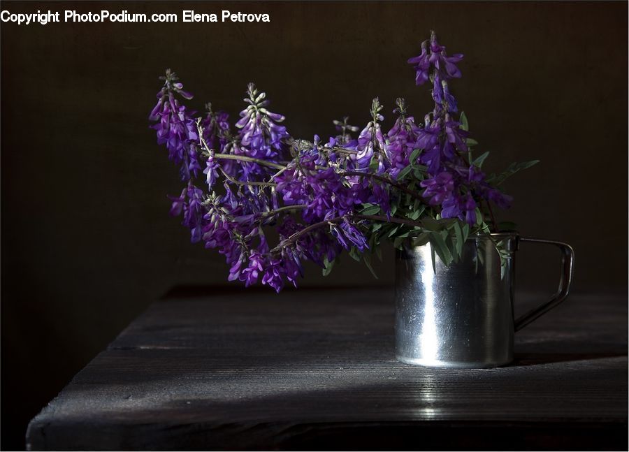 Plant, Potted Plant, Jar, Porcelain, Vase, Flora, Flower