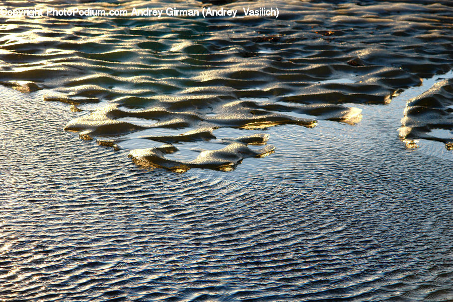 Alligator, Crocodile, Reptile, Outdoors, Ripple, Water, Cobblestone