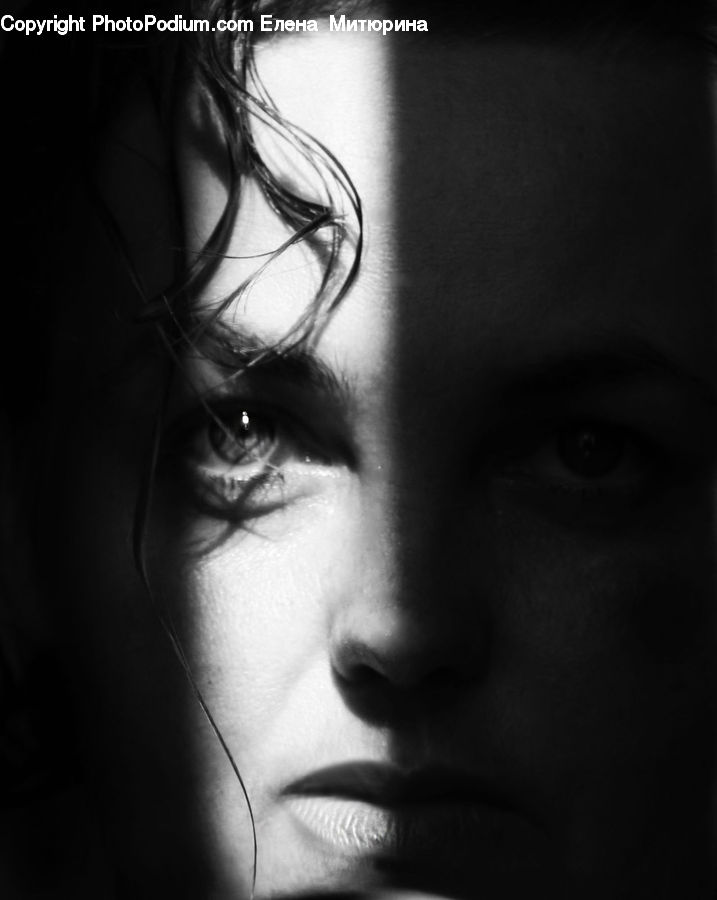 People, Person, Human, Portrait, Face, Female