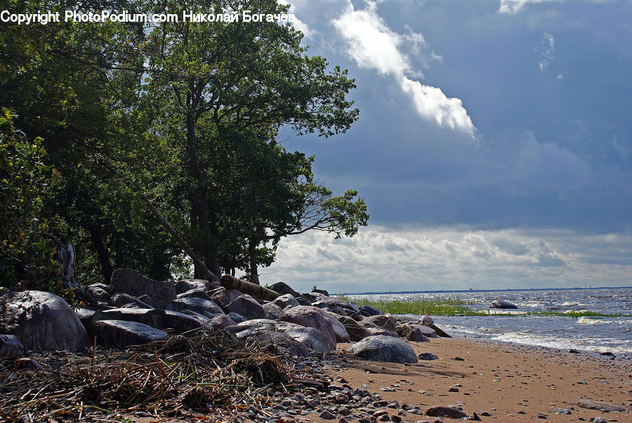 Rock, Beach, Coast, Outdoors, Sea, Water, Forest