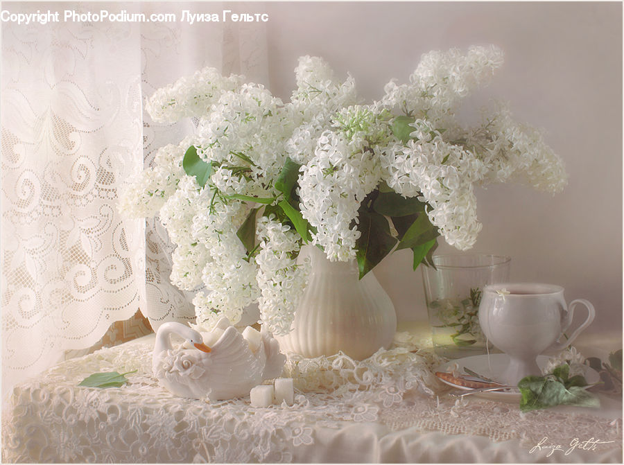Plant, Potted Plant, Blossom, Flower, Lilac, Cake, Dessert