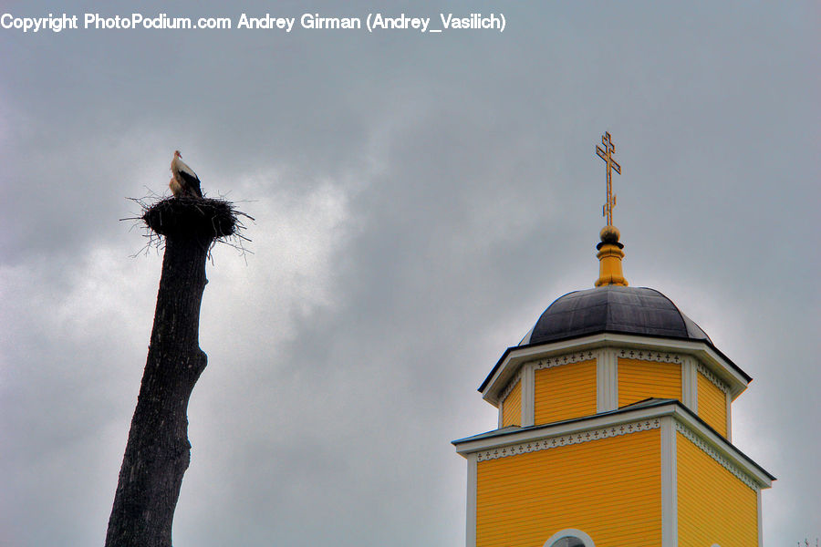 Architecture, Bell Tower, Clock Tower, Tower, Dome, Mosque, Worship