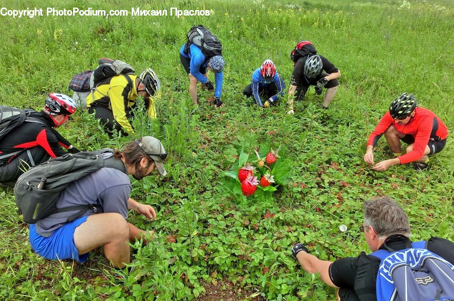 People, Person, Human, Field, Backpack, Bag, Planting