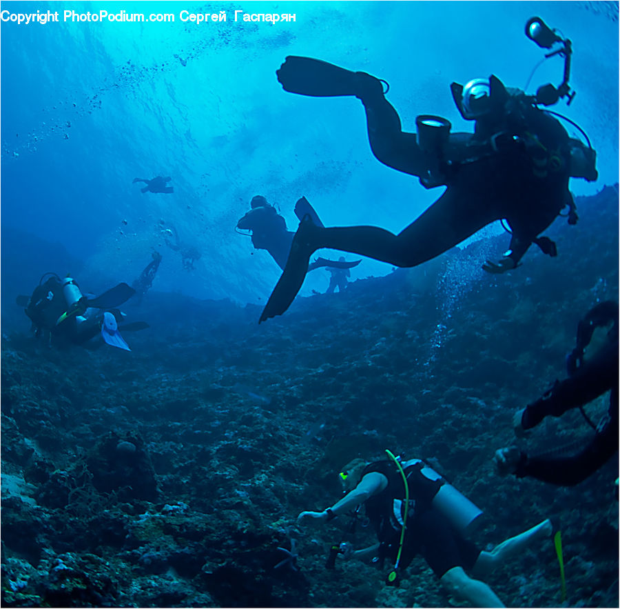Diver, Diving, Sport, Water